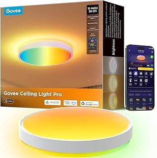 Govee Ceiling Light Pro
