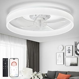 LED Fan Ceiling Light
